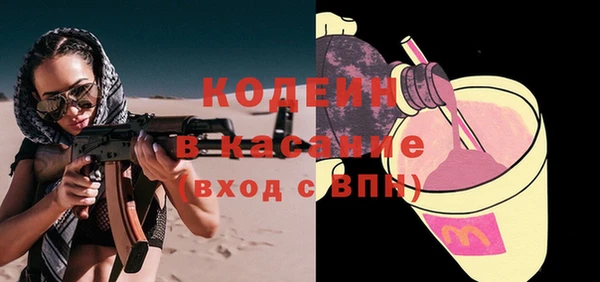 индика Абинск
