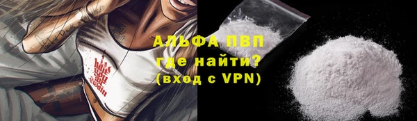индика Абинск