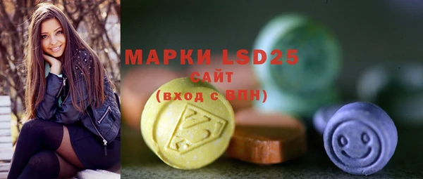 индика Абинск
