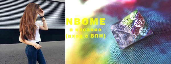 индика Абинск