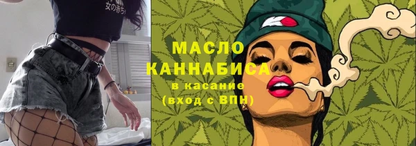 индика Абинск