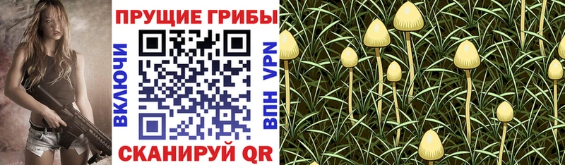 мега tor  Алатырь  Галлюциногенные грибы мухоморы 